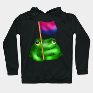 Bisexual LGBTQ Frog Hoodie